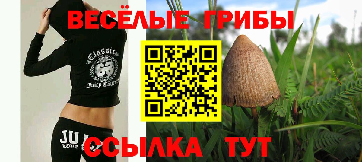 Славянск-на-Кубани  Псилоцибиновые грибы Psilocybine cubensis  Псилоцибиновые грибы Cubensis  Вход с VPN 